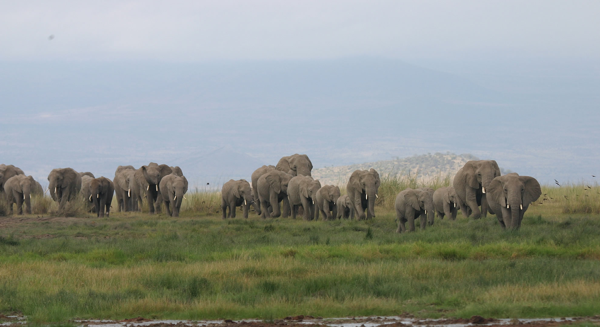 8 days mambo jambo kenya experience